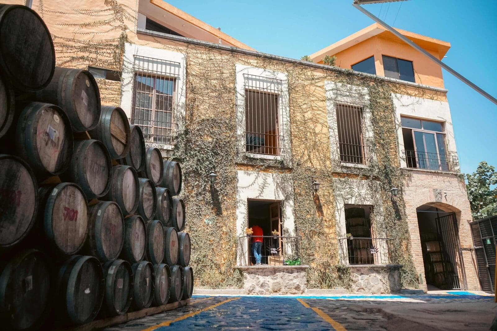 + Cine & Tequila: En 6.ª Edición